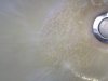 2010-06-22 12.37.15.jpg