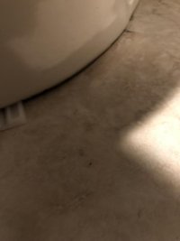 82408893-EBCD-446B-A131-41AD72F93E8C.jpeg
