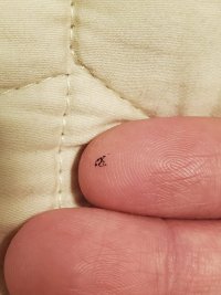 IMG-20230101-WA0006.jpg IMG-20230101-WA0006.jpg