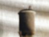 DSCF1387.JPG