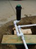 DSC07984_resize.jpg
