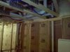 wide shot.jpg