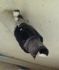 IMG1.jpg