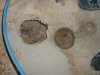 DSCF0038.jpg DSCF0038.jpg