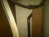 IMG-20110127-00006.jpg