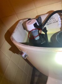IMG_5066.jpeg