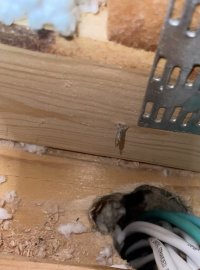 IMG_1330.jpeg
