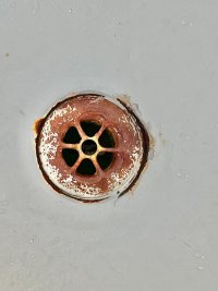 IMG_6477.jpeg
