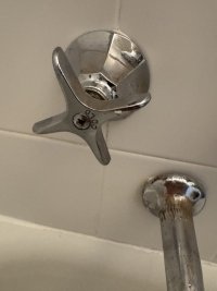 IMG_2992.jpeg