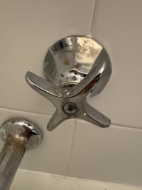 IMG_2991.jpeg