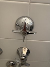 IMG_2993.jpeg