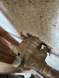 IMG_2908.jpeg