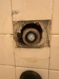 IMG_7094.jpeg