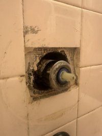 IMG_7095.jpeg