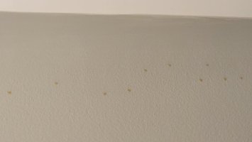 full bath wall stains1.jpg