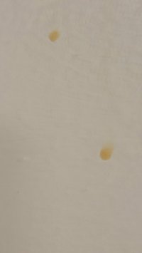full bath wall stains2.jpg