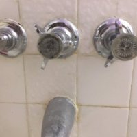 IMG_2856.jpeg