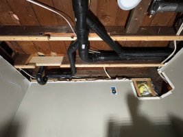 IMG_9802.jpeg