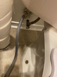 IMG_5575.jpeg
