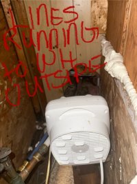 IMG_2255.jpeg