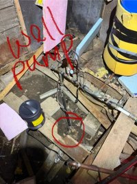 IMG_2256.jpeg