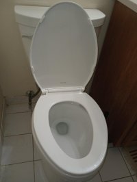 1000034081.jpg