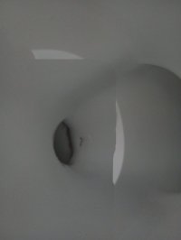 1000034083.jpg