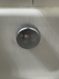 IMG_3698.JPEG