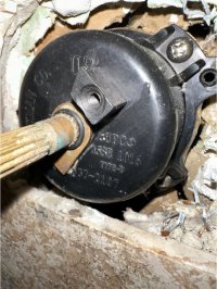 Picture3.jpg