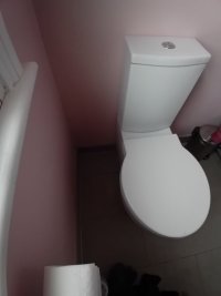 Leaking Toilet Base | Terry Love Plumbing Advice & Remodel DIY