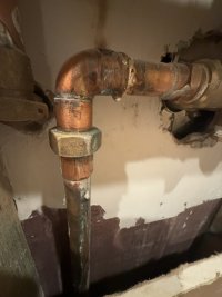 IMG_1666.jpeg