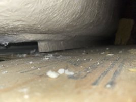 IMG_7963.jpeg