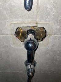 shower1.jpg