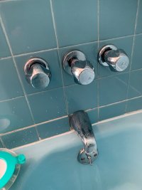 eljershower.jpg