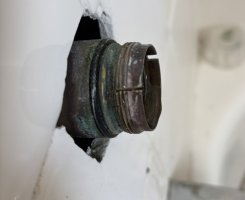 IMG_4390.jpeg