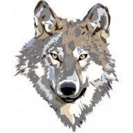 wile_e_coyote