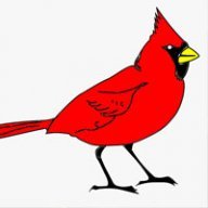 FLYINGJAY