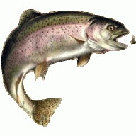 troutster