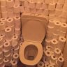 ToiletProblems