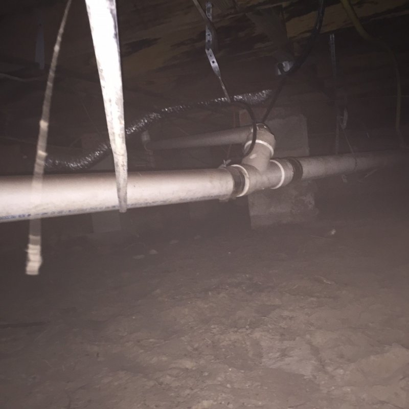 Crawl space drain backed up Terry Love Plumbing Advice