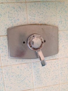 American Standard Shower Handle Removal Terry Love Plumbing