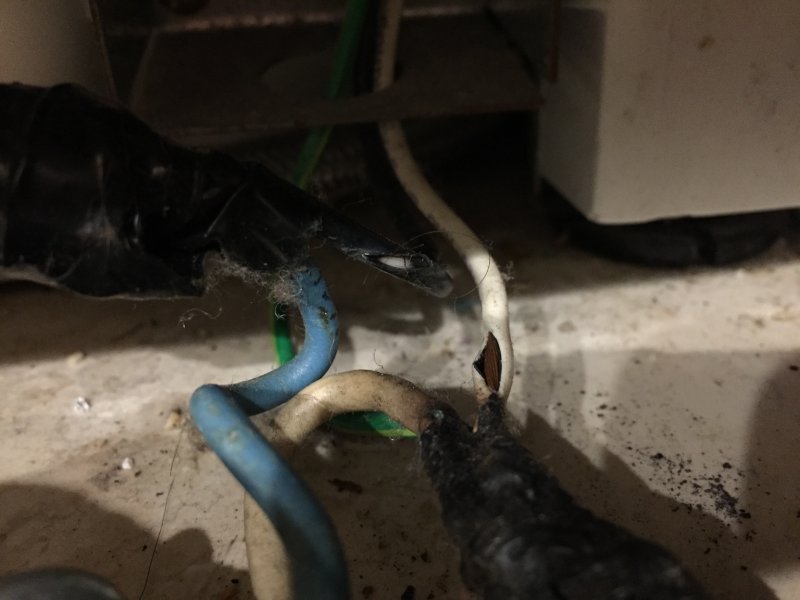 Dishwasher wiring 3.JPG