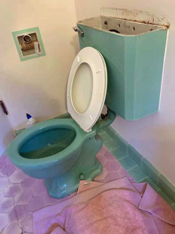 green-toilet-100-yo.jpg