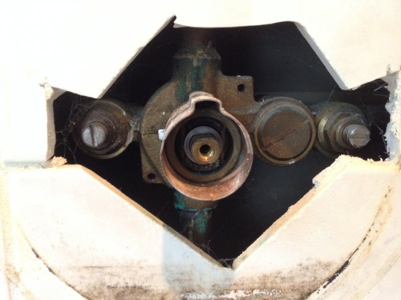 moentrol valve.jpg