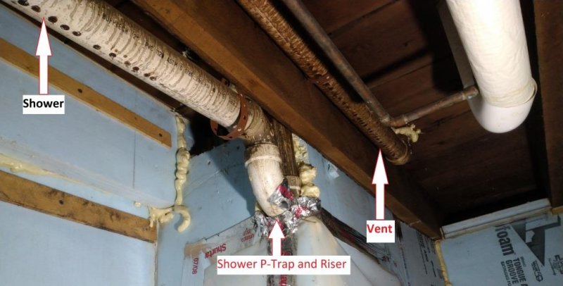Shower Riser and Vent_annotated_compressed.jpg