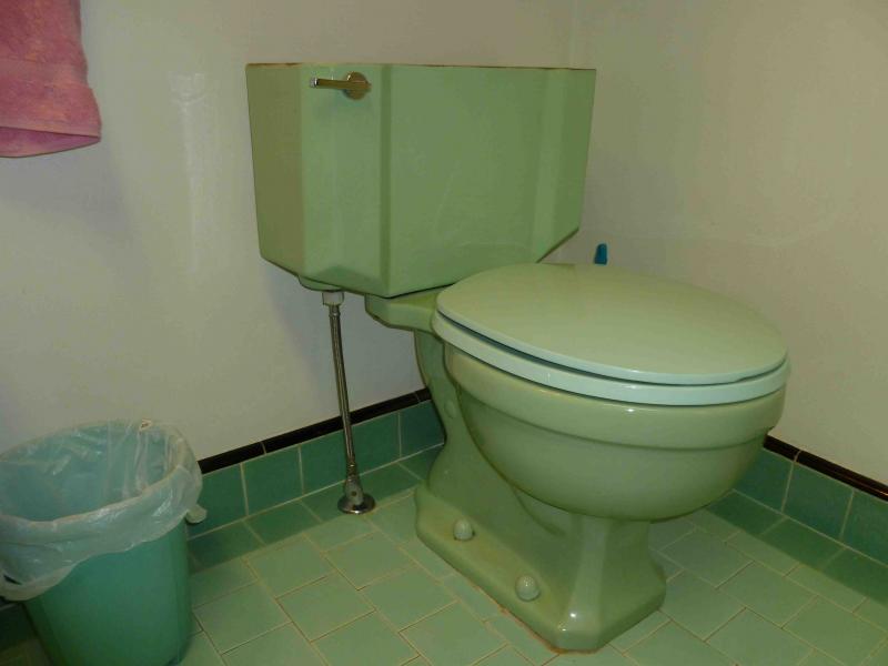 toilet.jpg