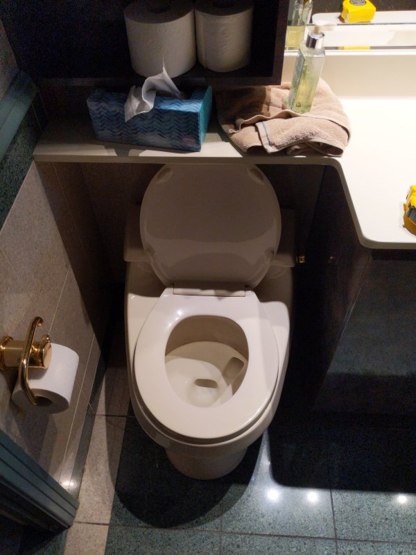 toilet.jpg