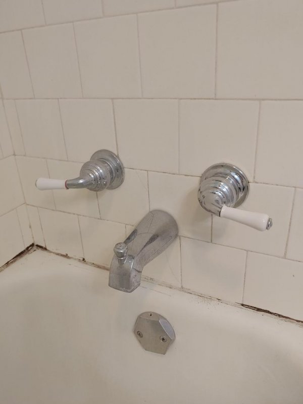 Tub faucets.jpg