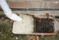 3backgulley.gif