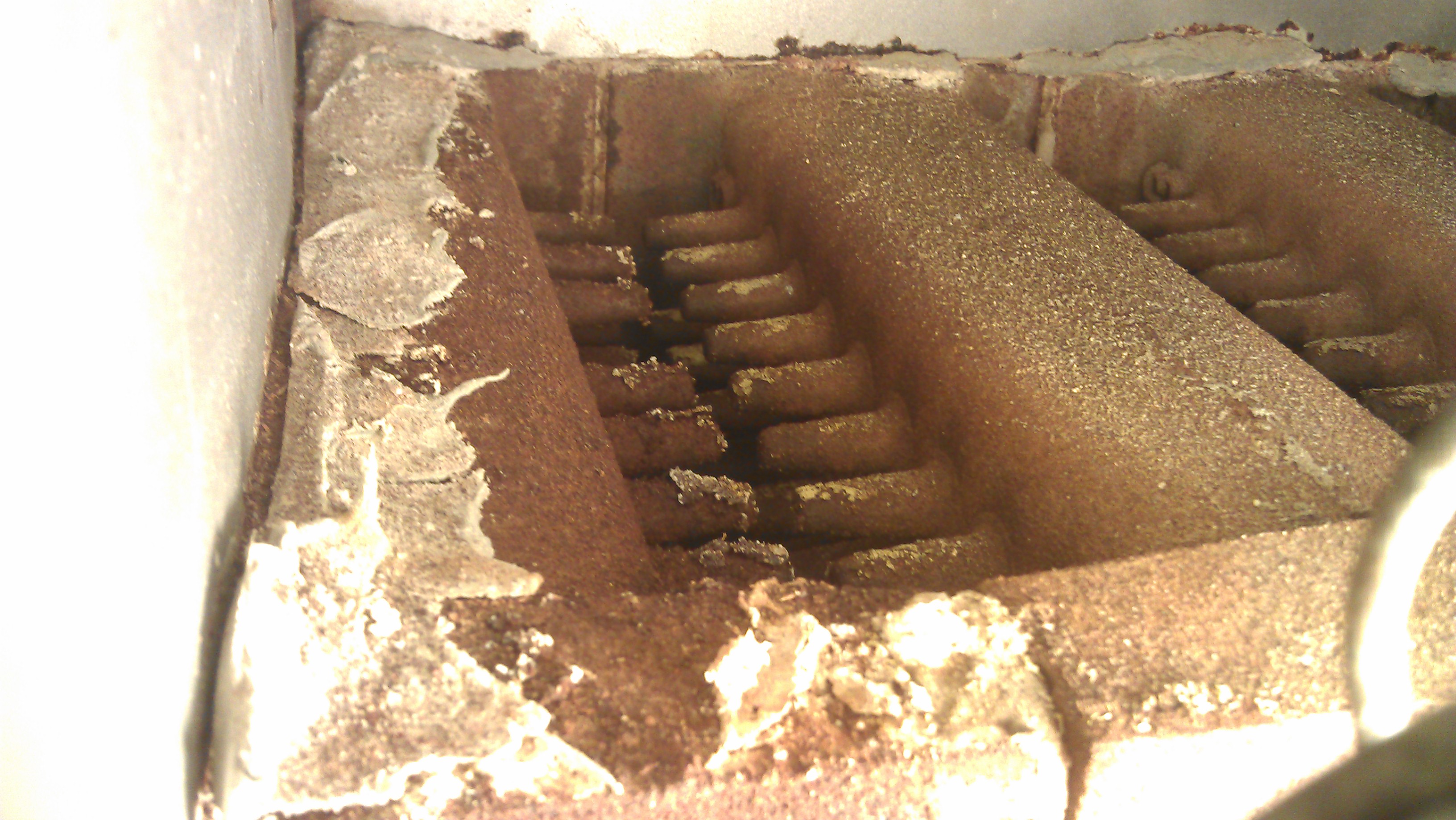 IMAG0072.jpg